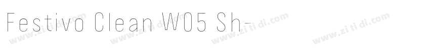 Festivo Clean W05 Sh字体转换 Festivo Clean W05 Sh字体转换
